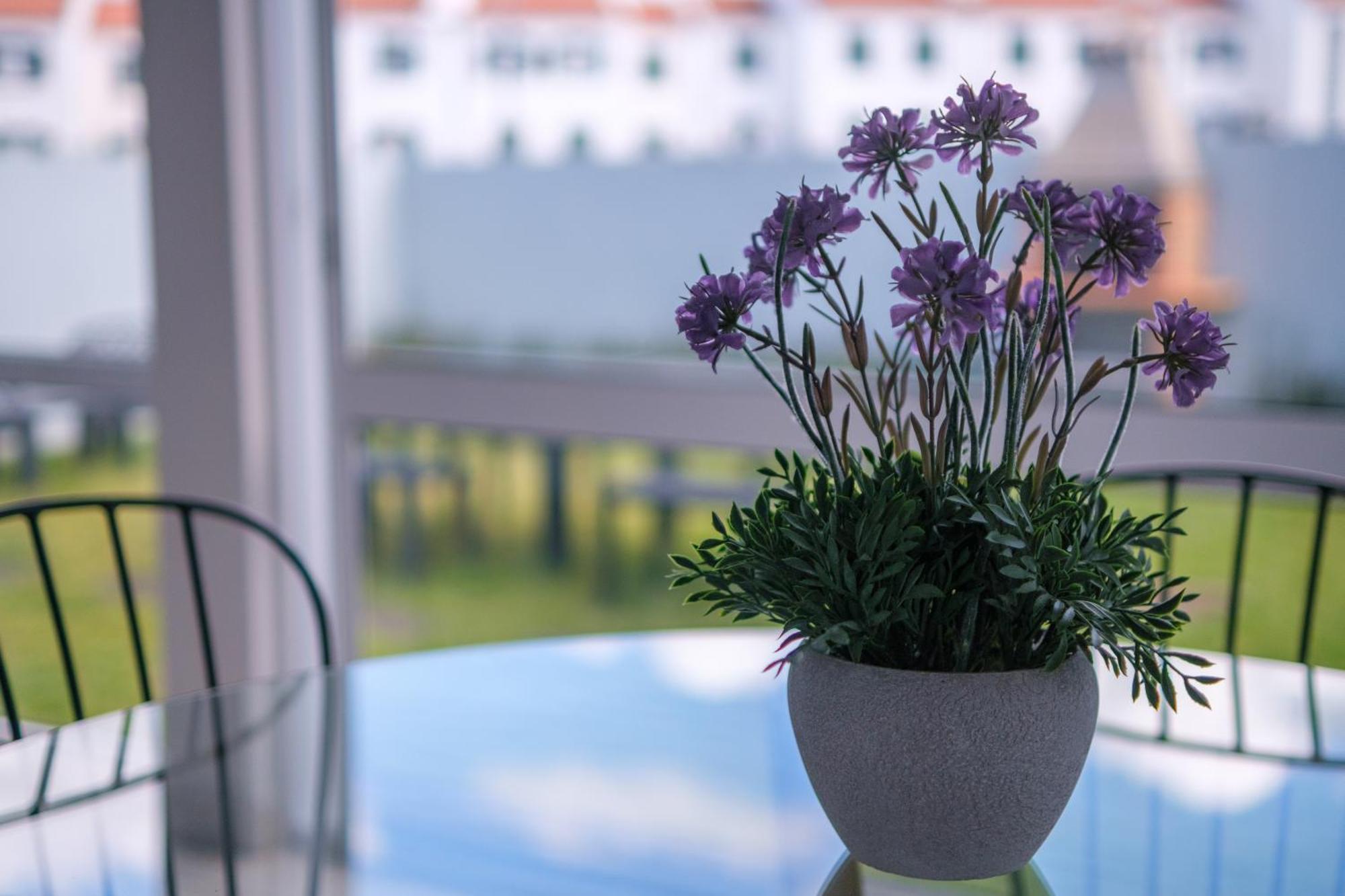 Areal De Santa Barbara Guest House ฮิเบย์รา กรันเจ ภายนอก รูปภาพ